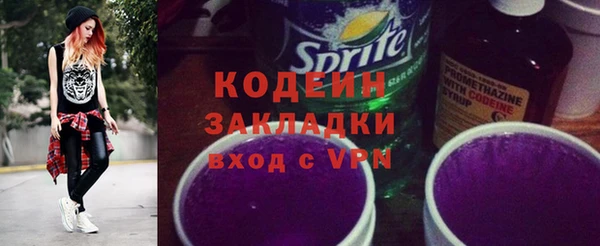 шишки Краснослободск