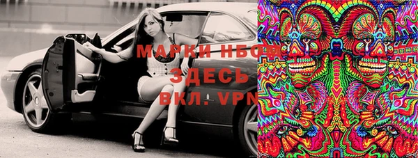 гидра Корсаков