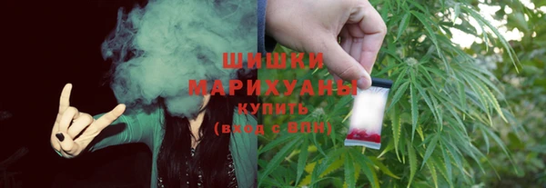 PSILOCYBIN Костерёво