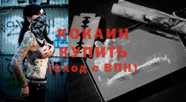 шишки Краснослободск
