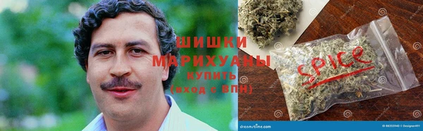 PSILOCYBIN Костерёво
