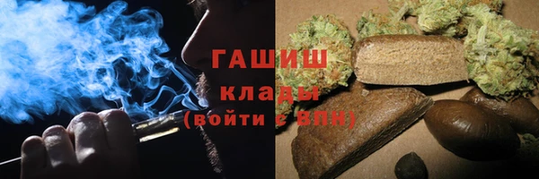 гидра Корсаков