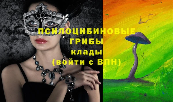 шишки Краснослободск