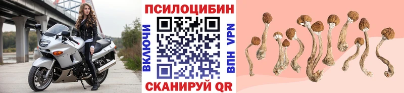 Галлюциногенные грибы Psilocybe  гидра как зайти  Ухта 